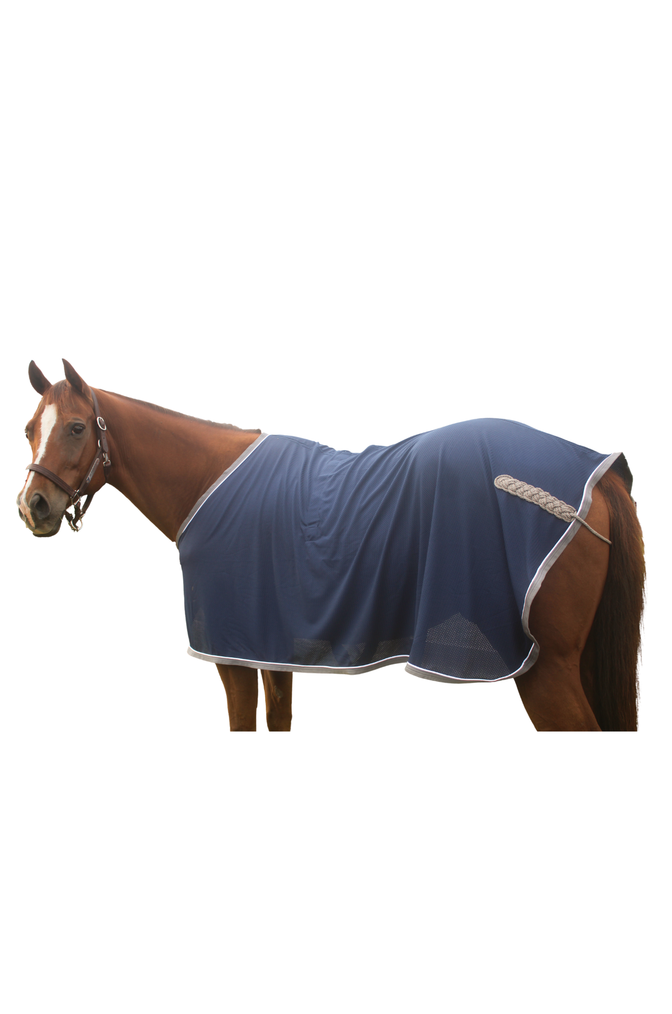 Jack's Custom Scrim Sheet w/Fancy Hip