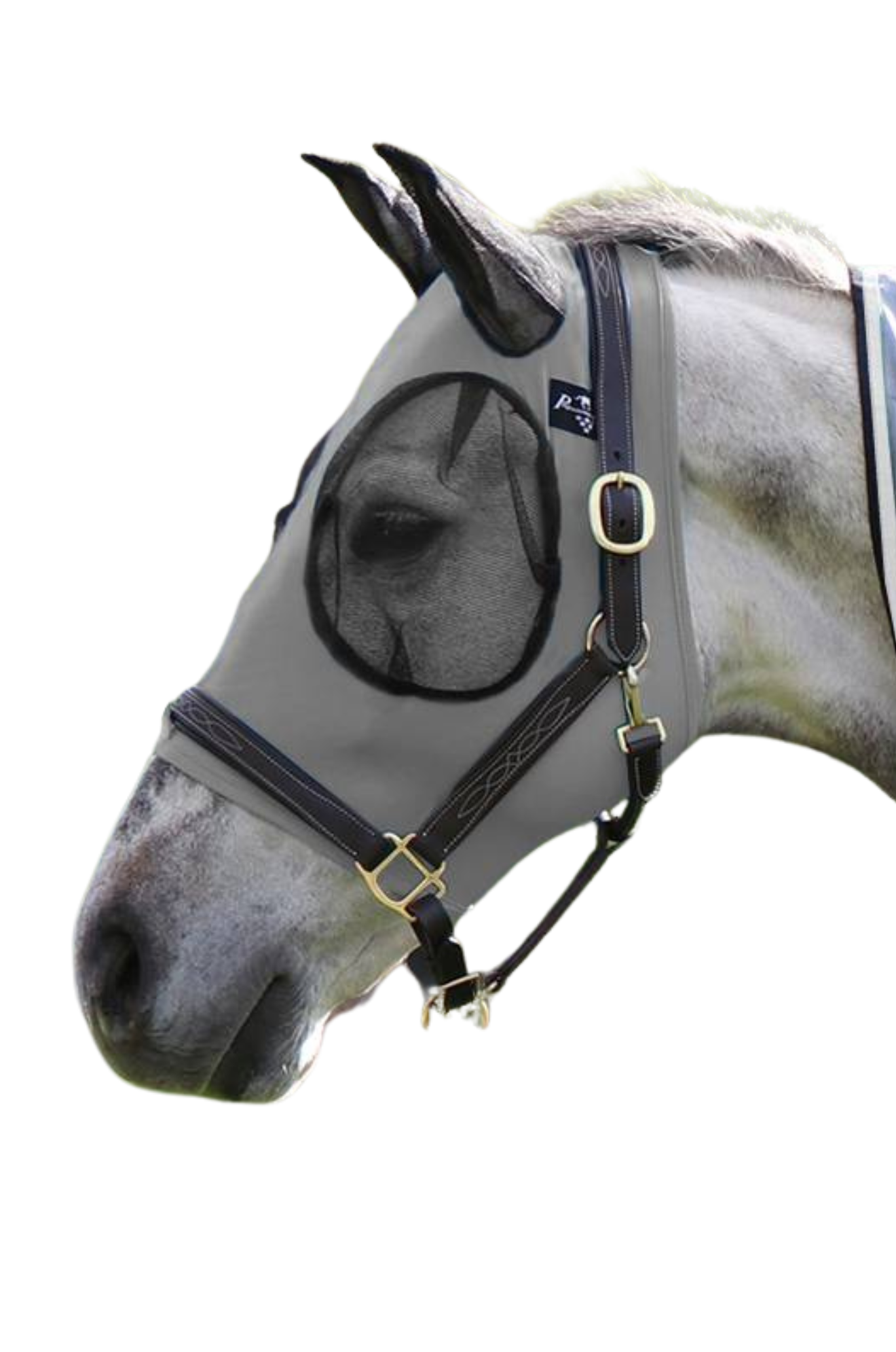A gray horse wearing a fly mask with a comfort-fit design, featuring smooth lycra fabric, mesh around the eyes and ears, and a forelock opening.