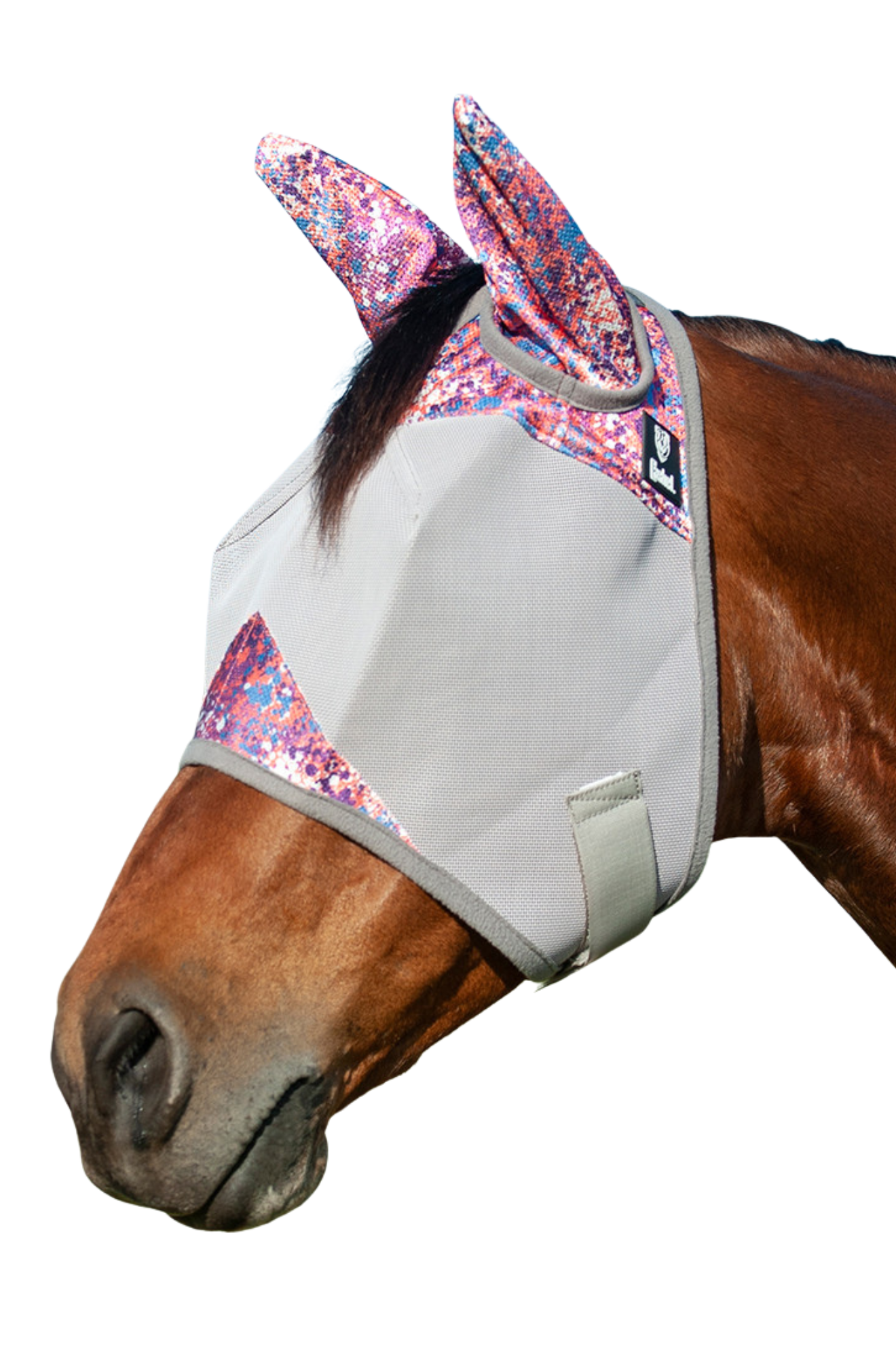 A gray CASHEL Crusader fly mask with ears attached to a horse head.