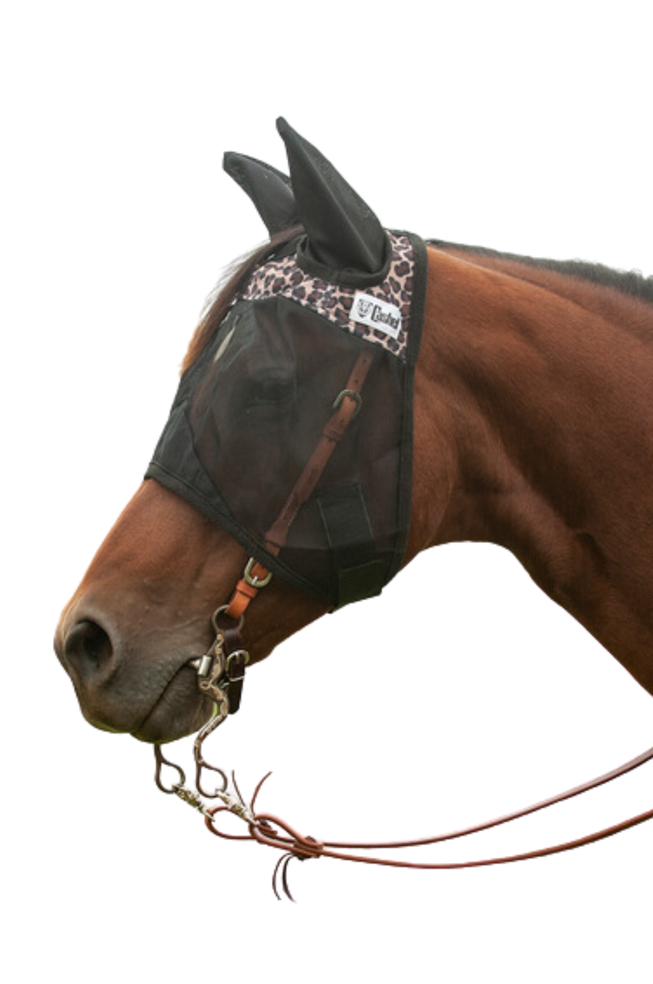 A brown horse wearing a black fly mask with ears attached, designed to protect the horse from insects.