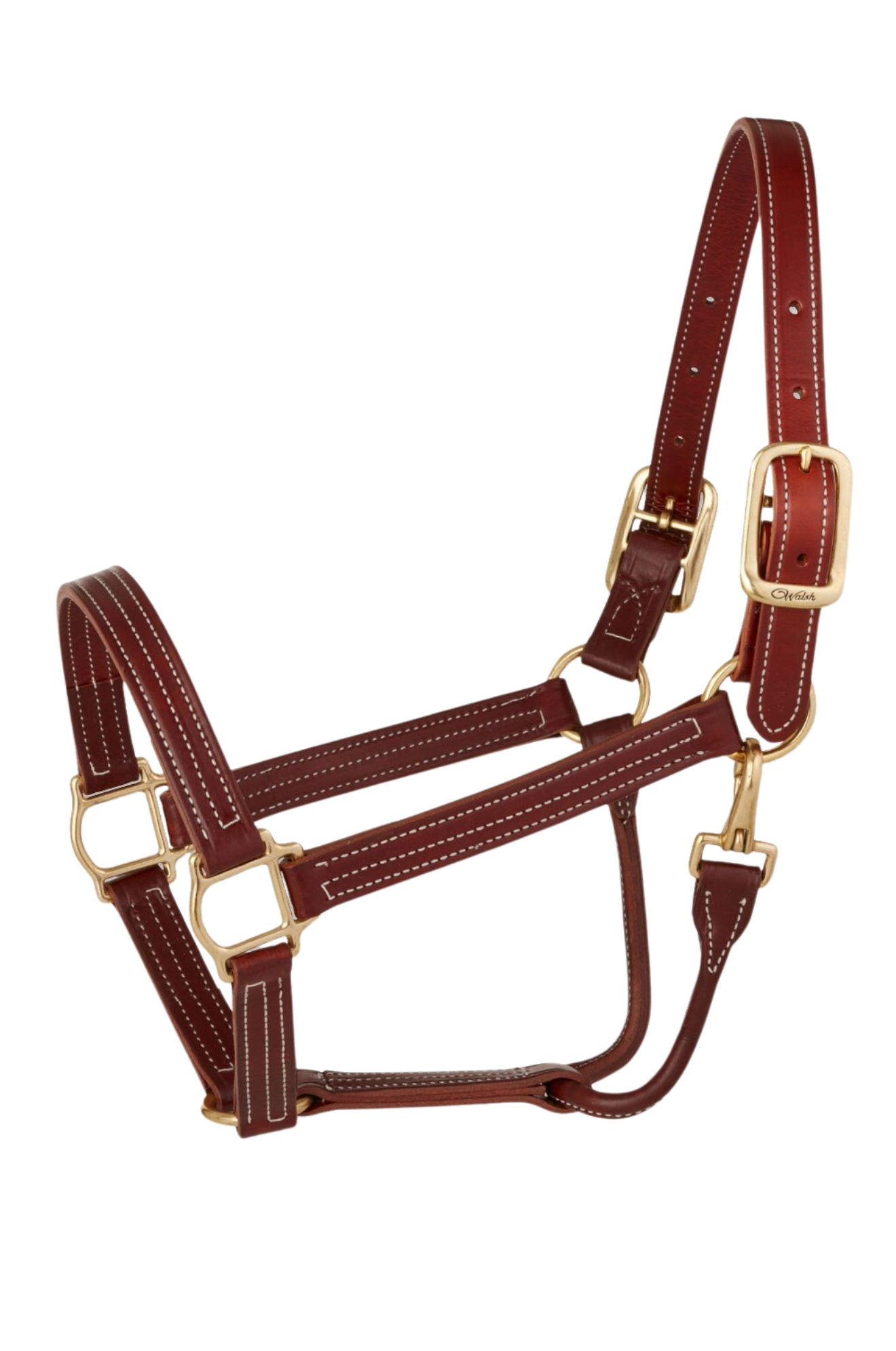 A brown horse wearing a Walsh British Triple Stitch Halter with English hand rubbed bridle leather, featuring contrasted Havana leather and white thread, solid brass hardware, adjustable crown, and a rolled throat with snap.