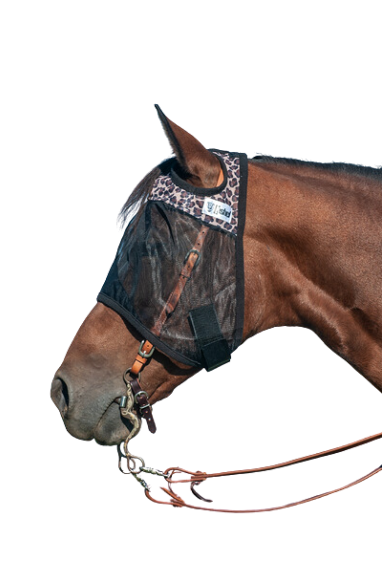 A brown horse wearing a black Quiet Ride Designer Horse Fly Mask, fastened securely over the bridle.