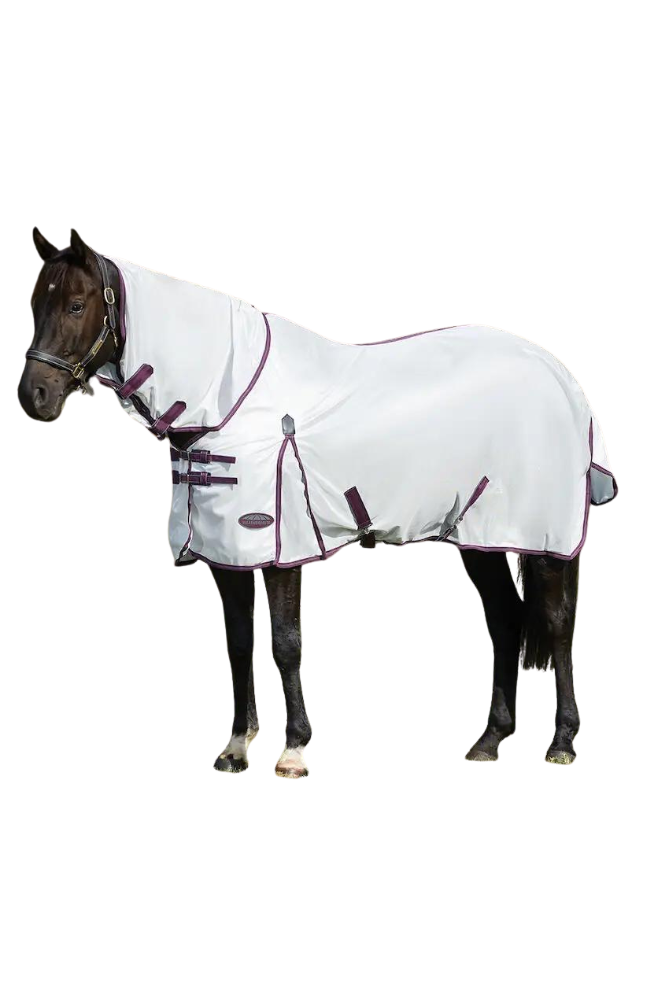 WEATHERBEETA COMFITEC ESSENTIAL MESH II COMBO NECK