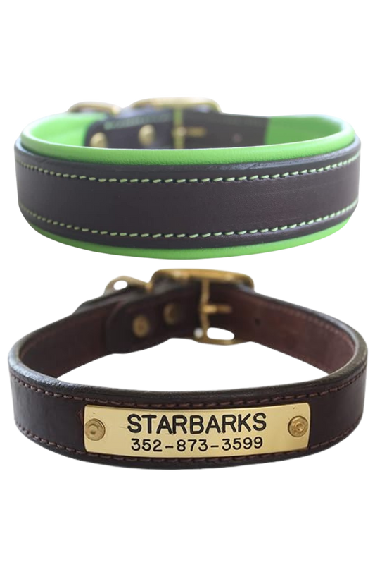 leather dog collar with padding, custom dog collar, brass hardware, chrome hardware
