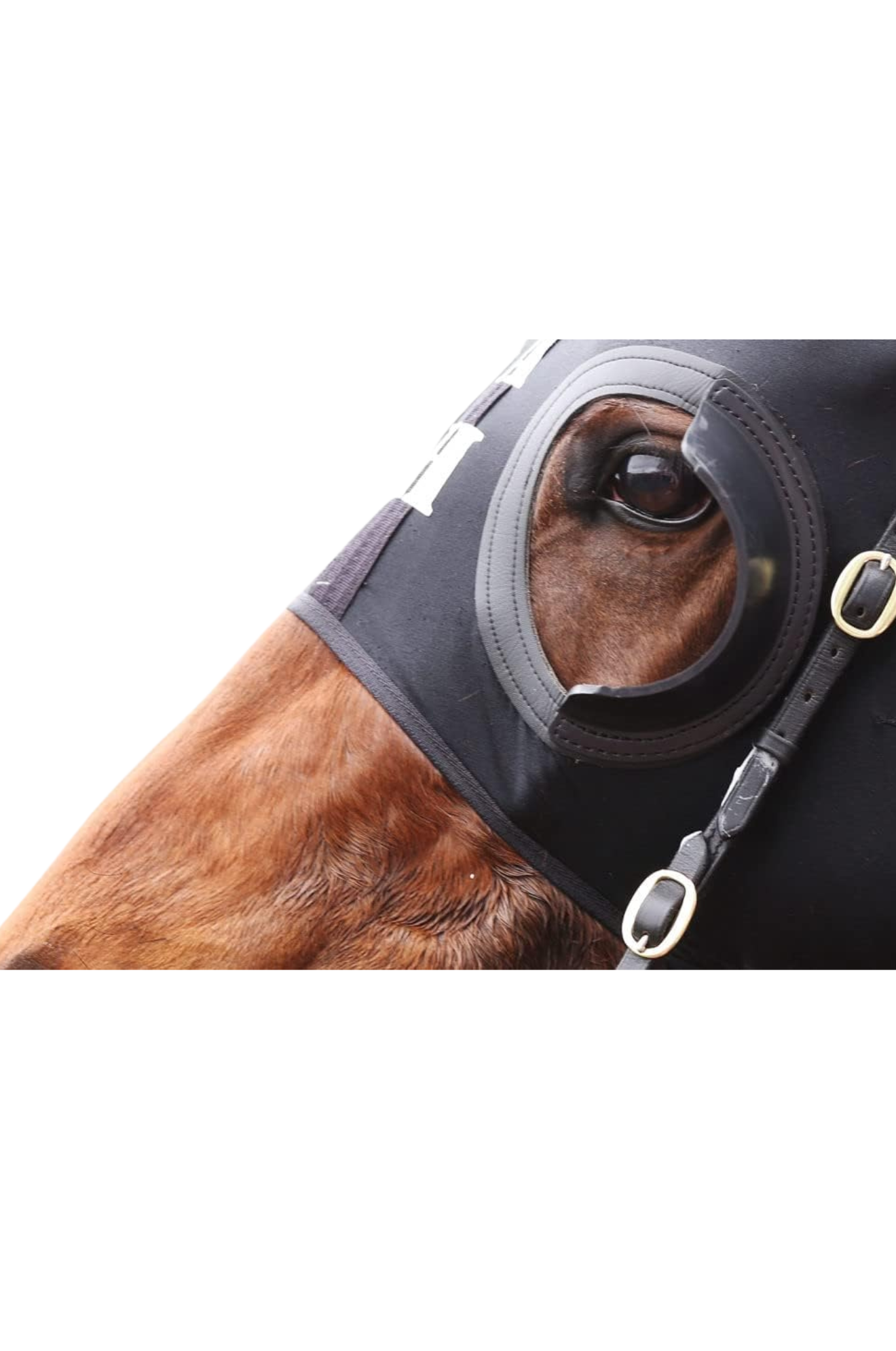 Custom Race Blinker