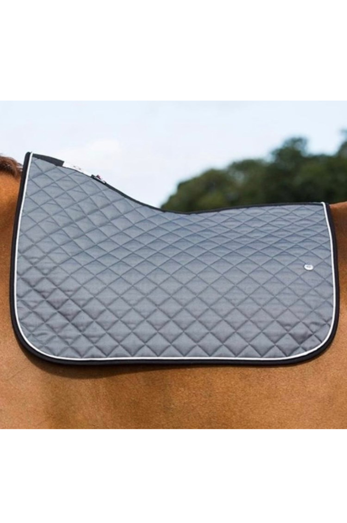 OGILVY JUMP BABY PAD