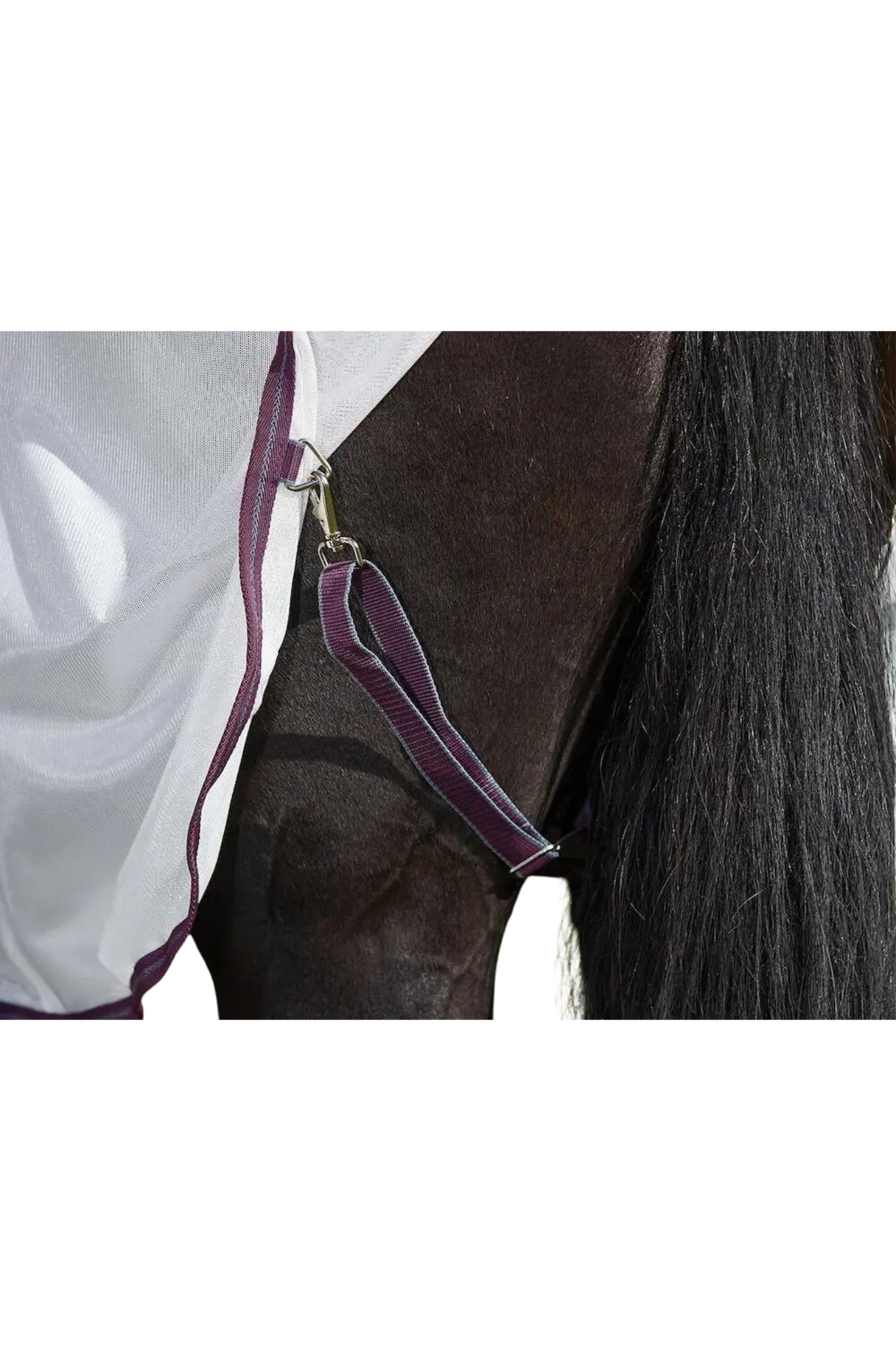 A horse wearing a white mesh sheet with red and grey trim, designed for fly protection and breathability with features such as adjustable leg straps and a large tail flap.