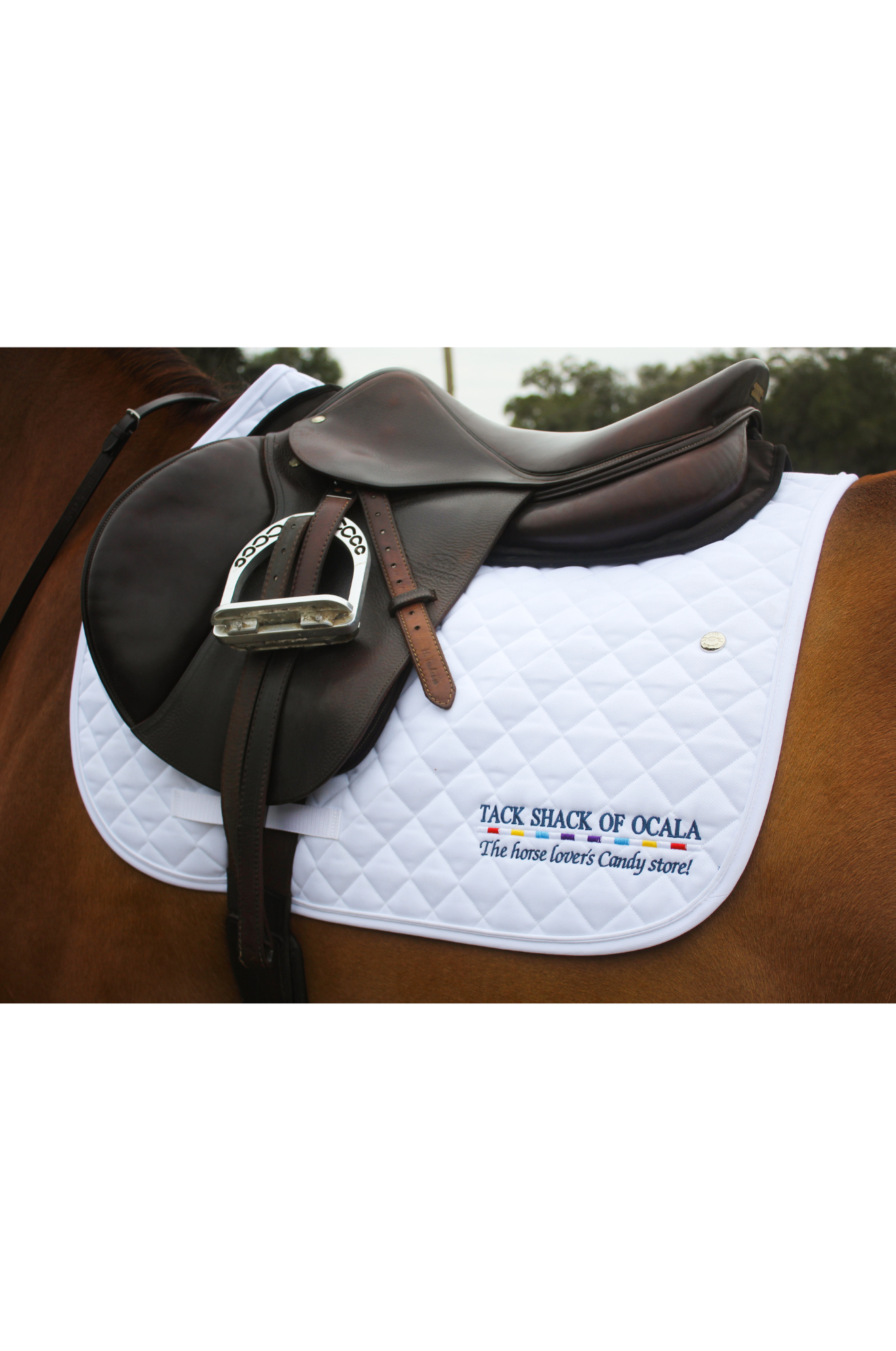 OGILVY PROFILE JUMP PAD