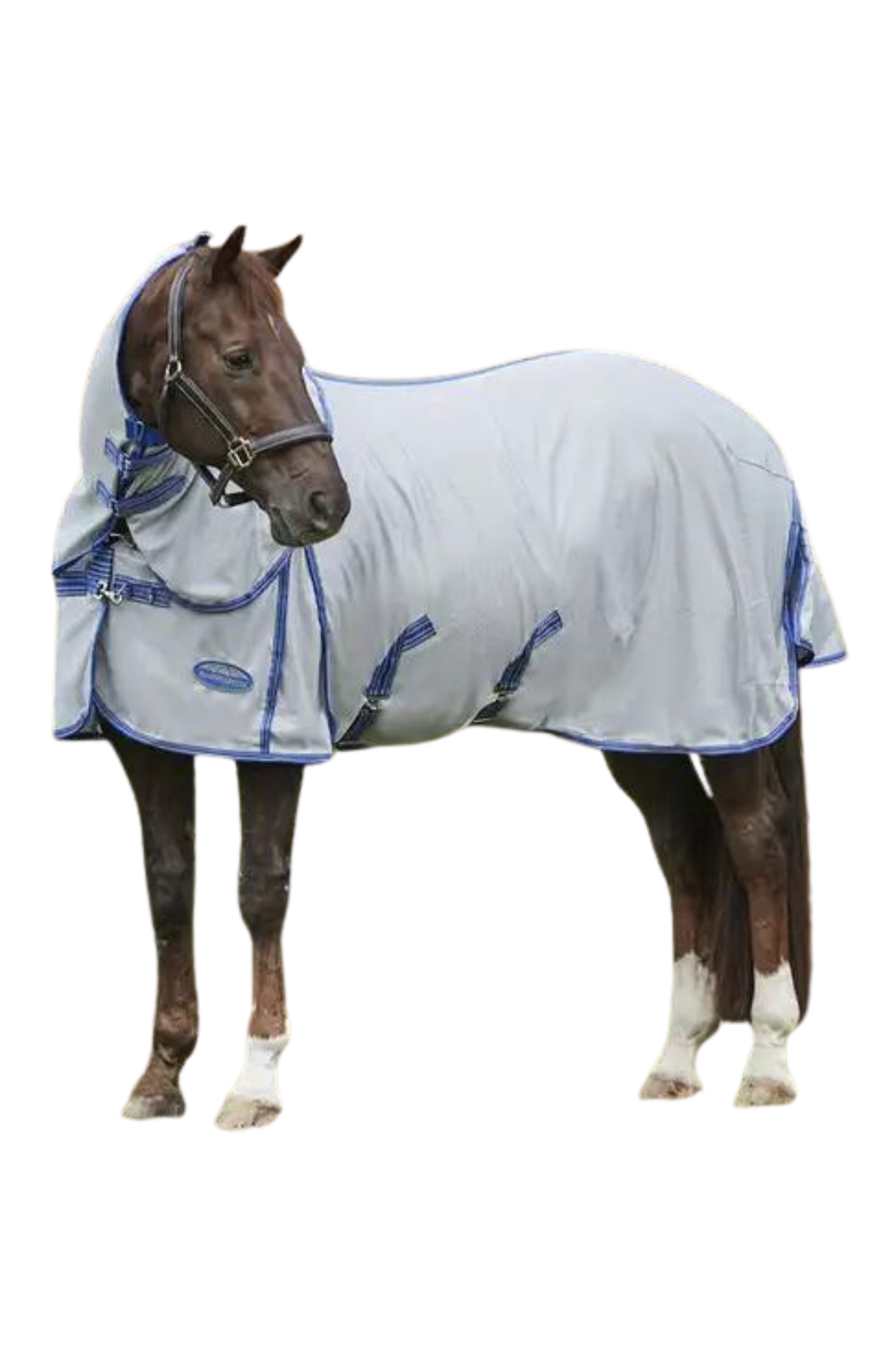 A horse wearing a gray WeatherBeeta ComFiTec Airflow II Detach A Neck mesh sheet designed for summer protection.