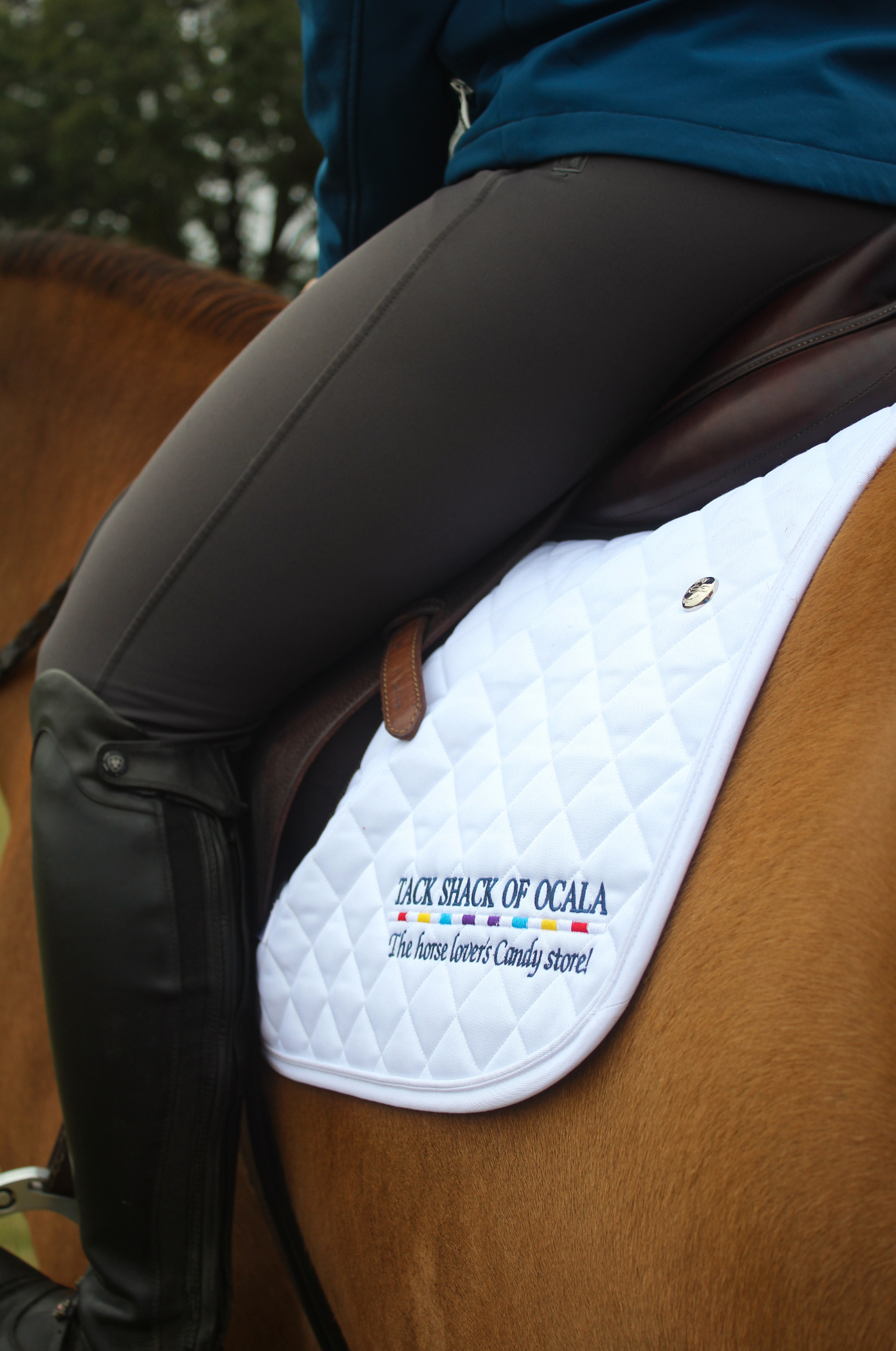 OGILVY PROFILE JUMP PAD