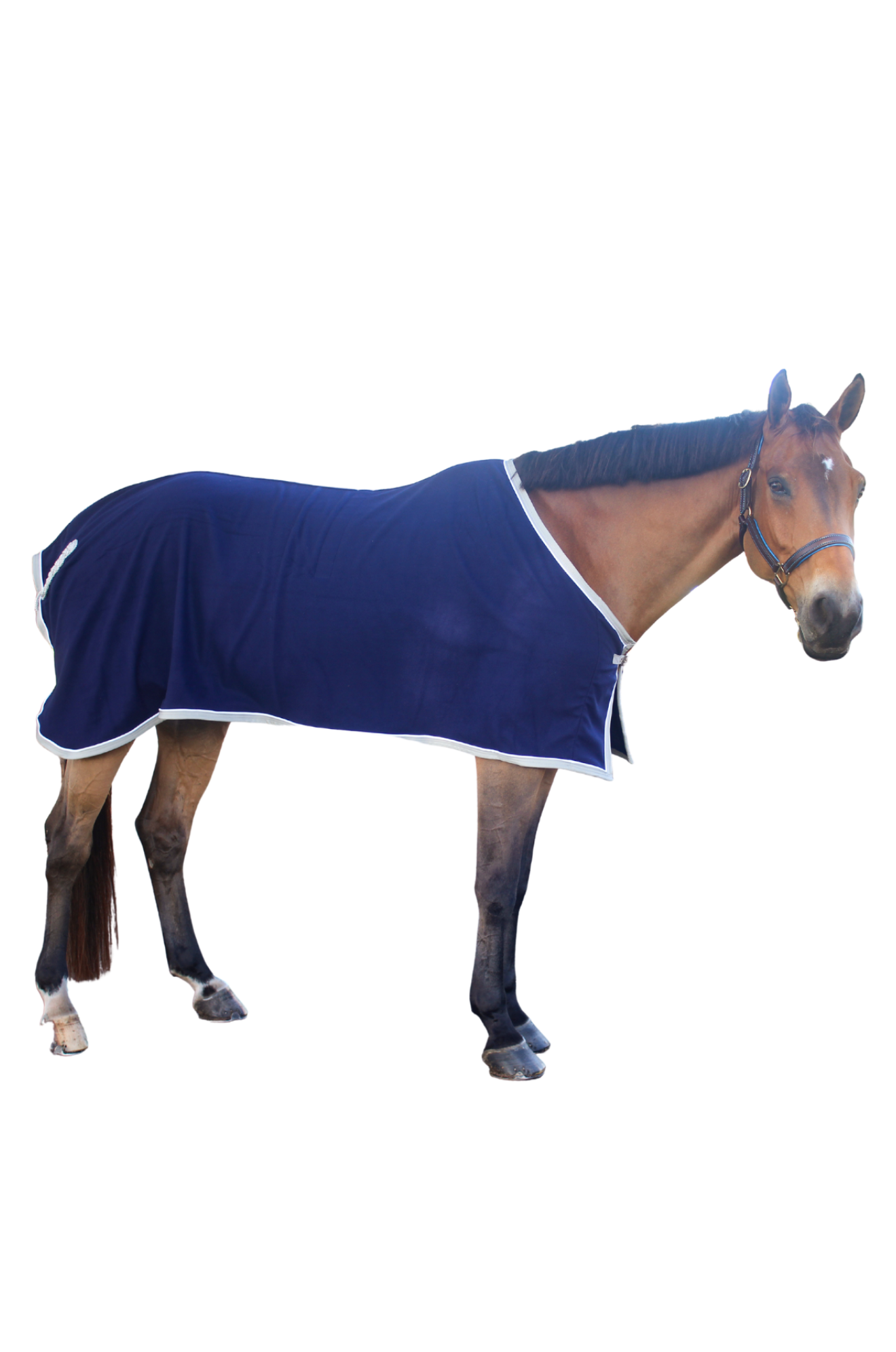 Custom Curvon Fleece Cooler Sheet