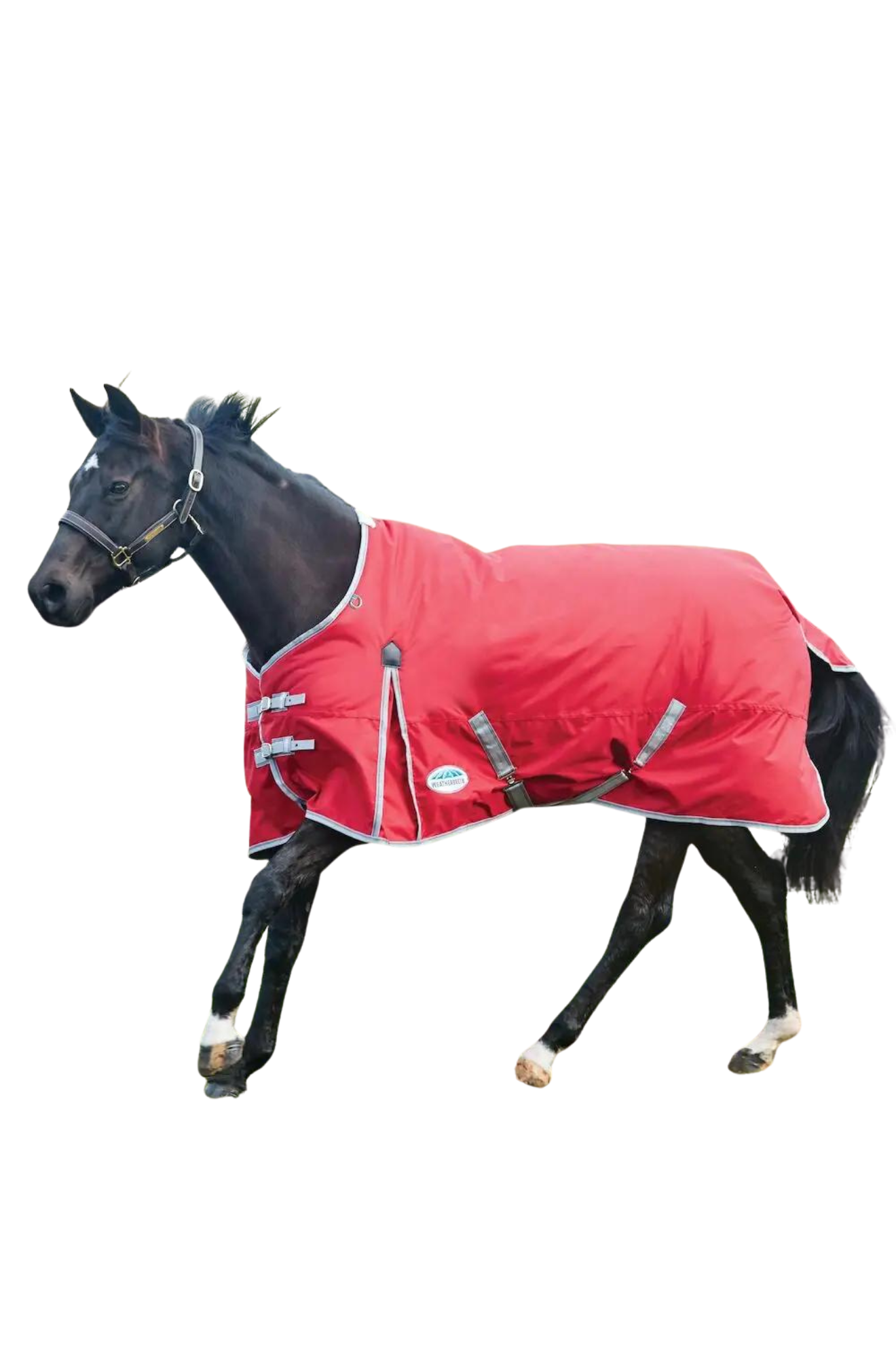 WEATHERBEETA COMFITEC CLASSIC STANDARD LITE TURNOUT SHEET