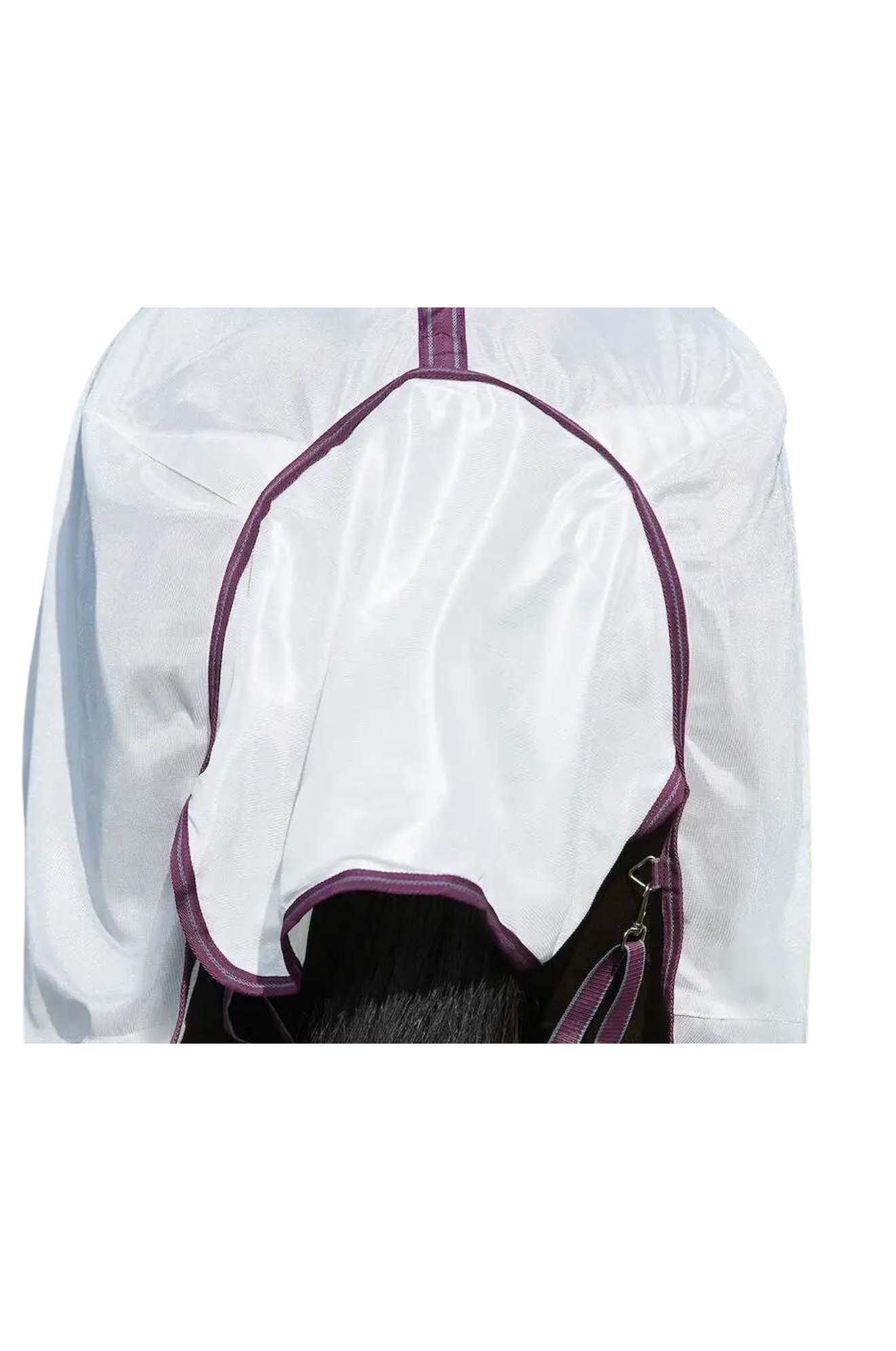 A horse wearing a white mesh sheet with red and grey trim, designed for fly protection and breathability with features such as adjustable leg straps and a large tail flap.