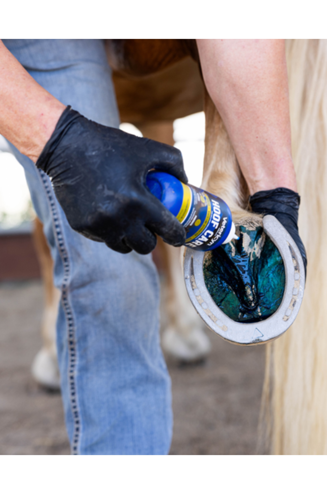 VETERICYN MOBILITY HOOF CARE