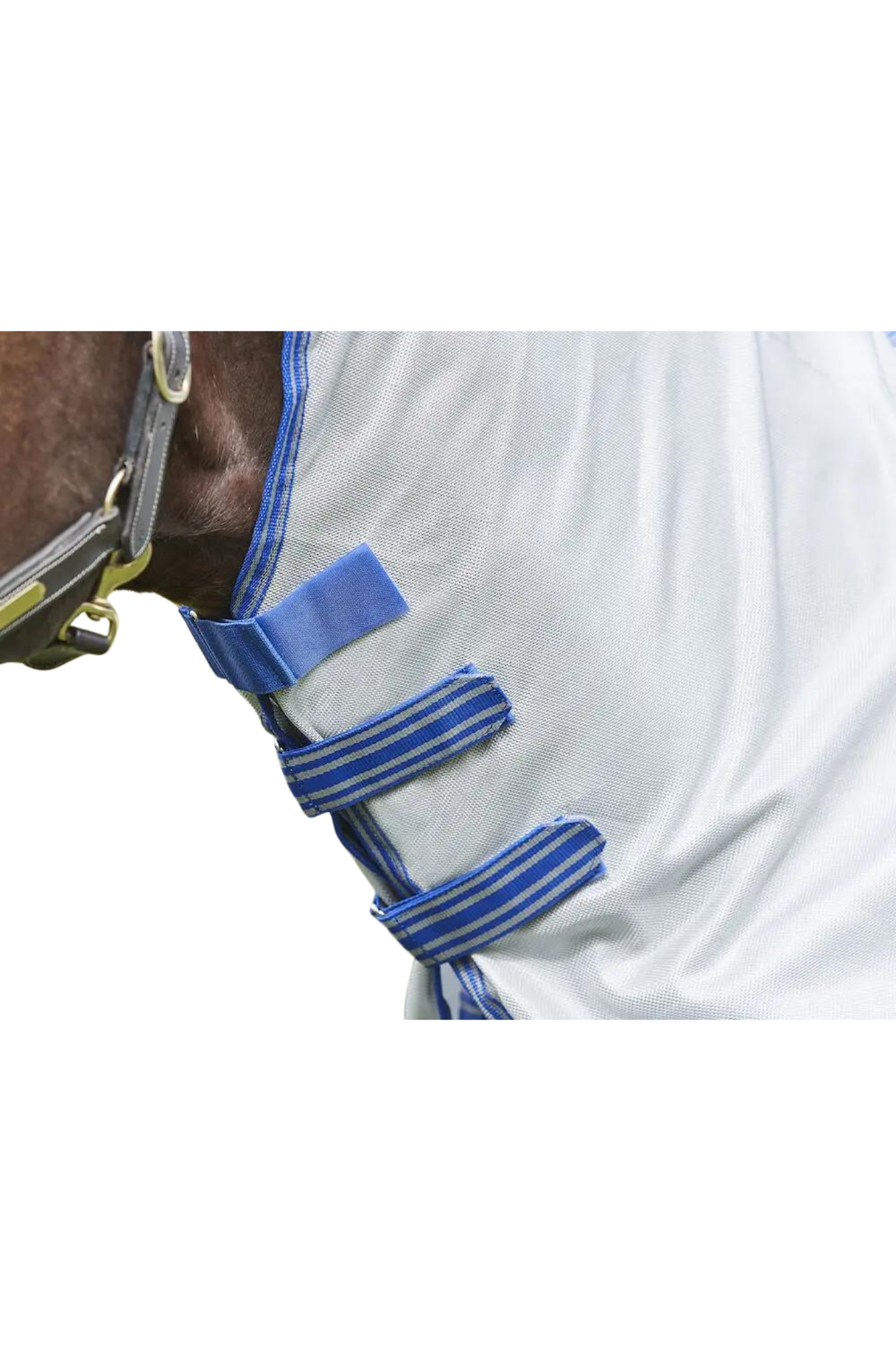 A horse wearing a gray WeatherBeeta ComFiTec Airflow II Detach A Neck mesh sheet designed for summer protection.