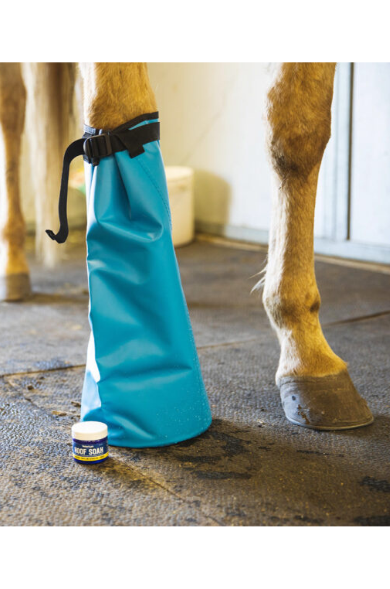 VETERICYN MOBILITY HOOF SOAK