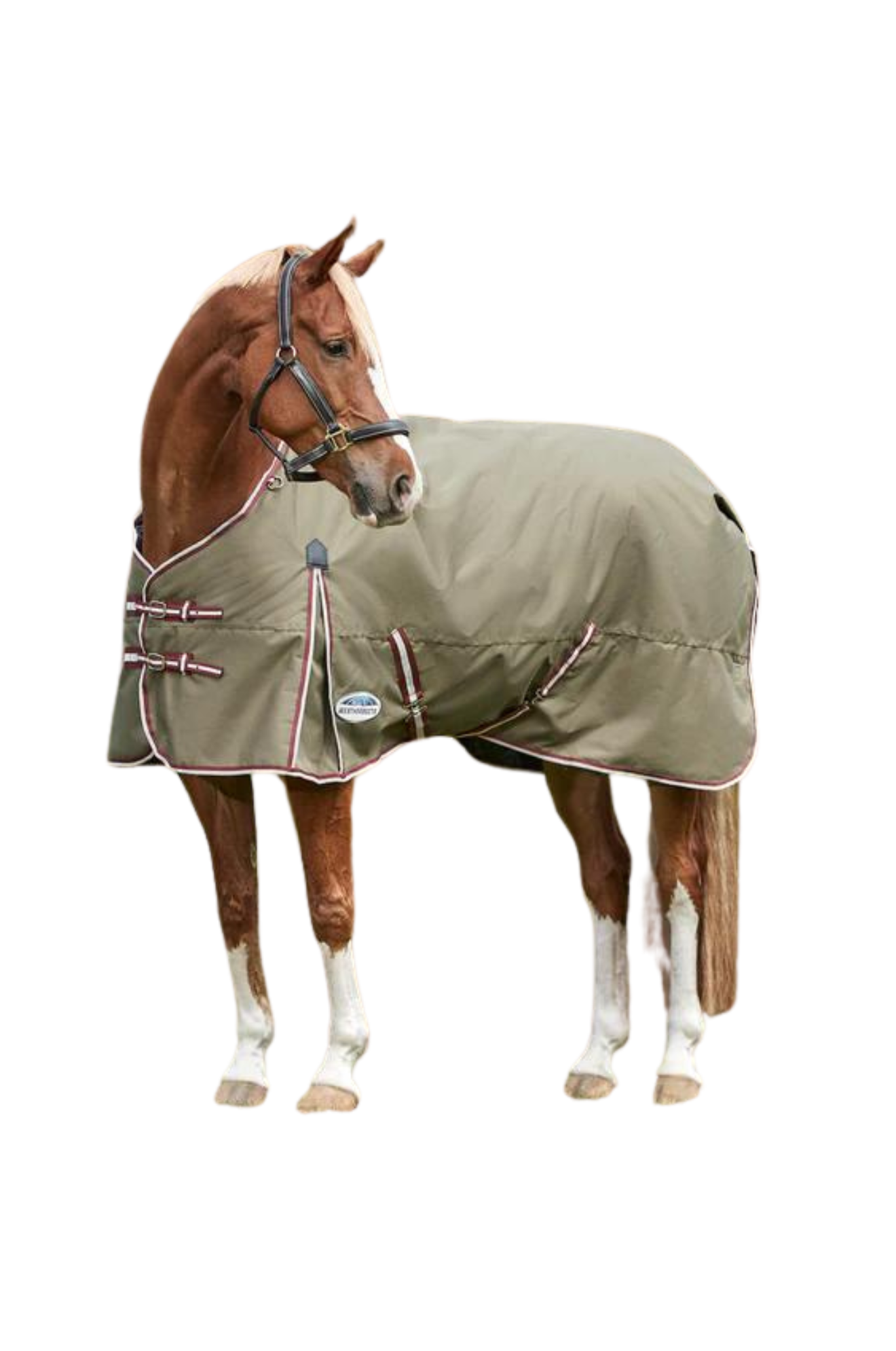 WEATHERBEETA COMFITEC ESSENTIAL STANDARD NECK MEDIUM TURNOUT BLANKET