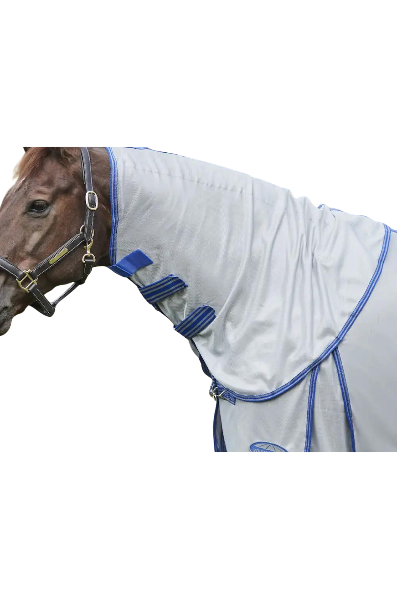 A horse wearing a gray WeatherBeeta ComFiTec Airflow II Detach A Neck mesh sheet designed for summer protection.