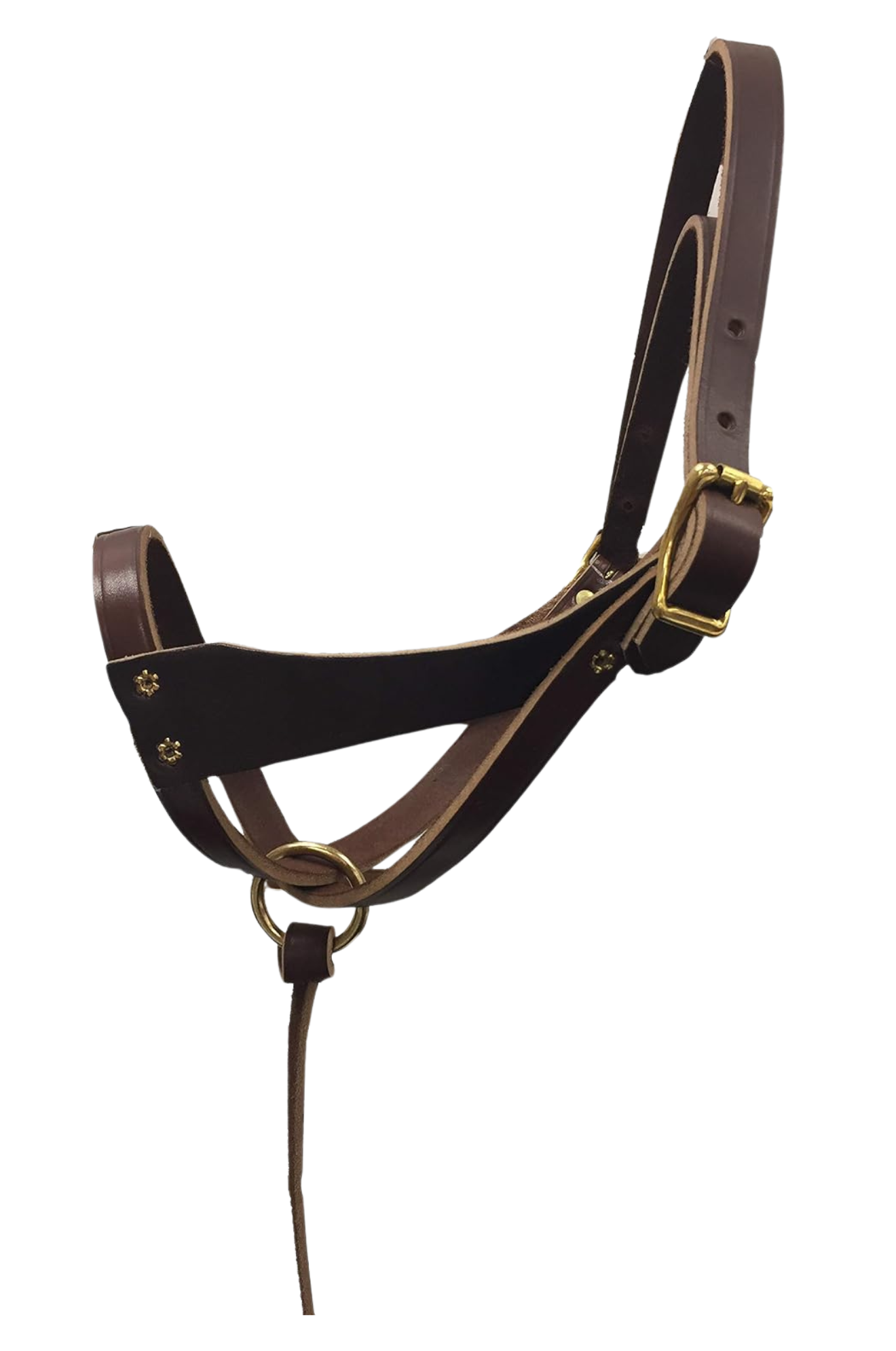 TS Leather Figure 8 Foal Halter
