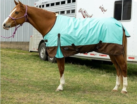 Blue and brown horse blanket on a white background