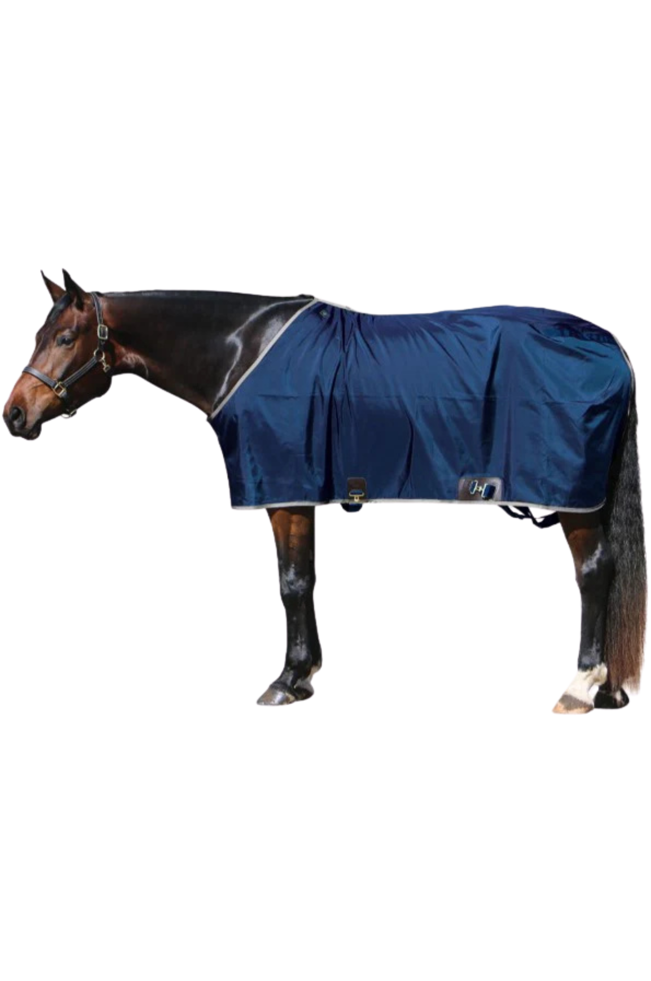 BIG D OPEN FRONT NYLON STABLE SHEET