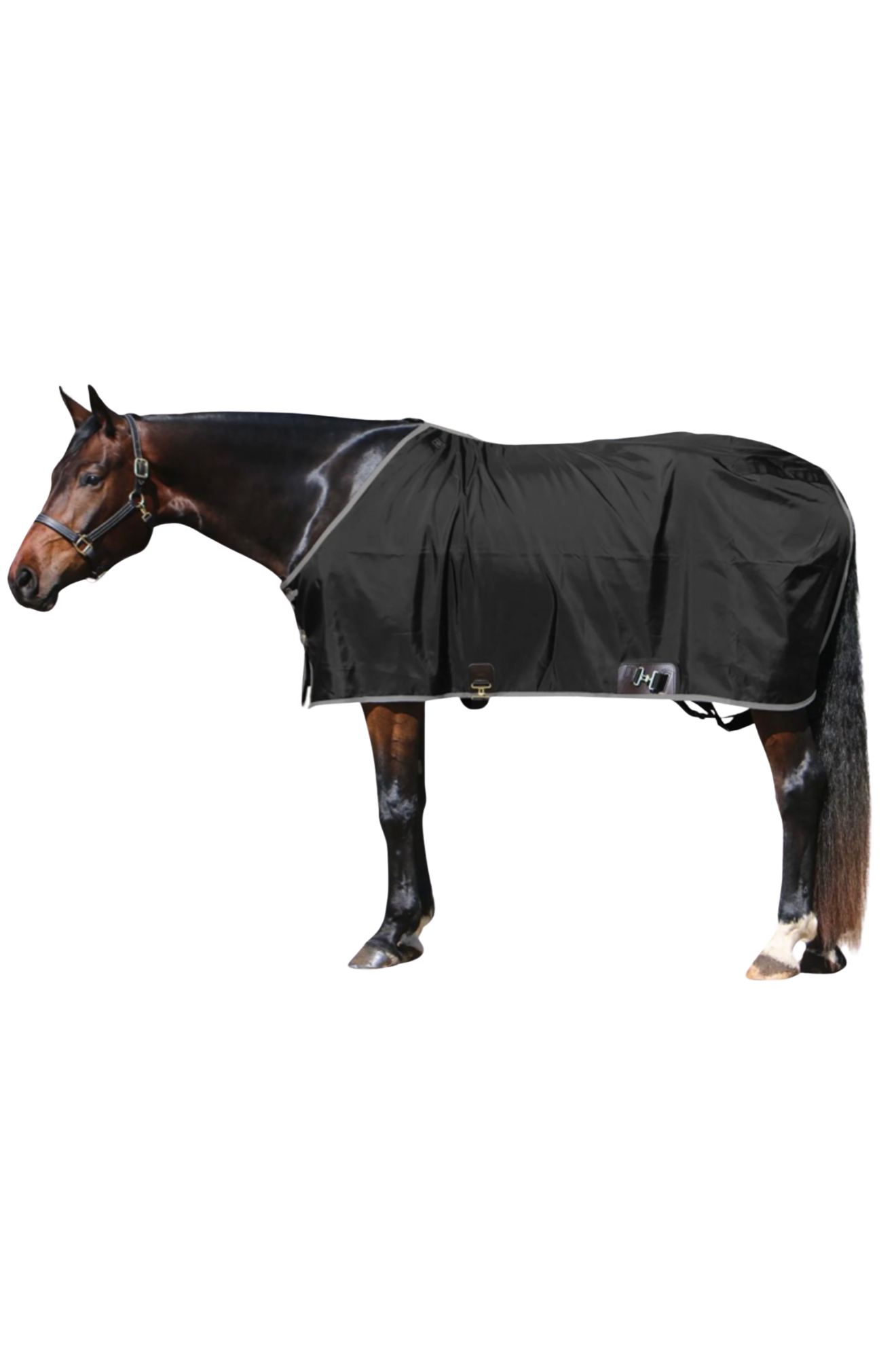 BIG D OPEN FRONT NYLON STABLE SHEET