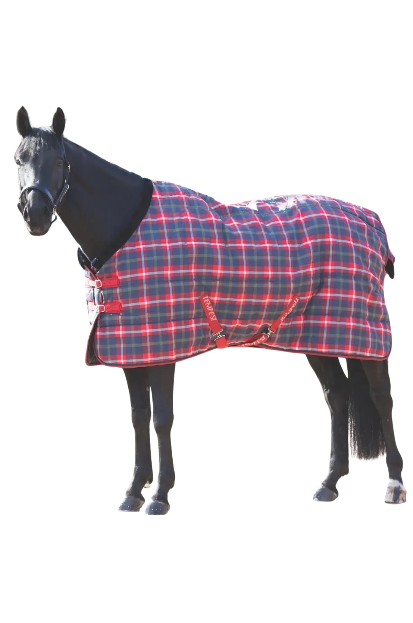 TEMPEST PLUS 200 STABLE BLANKETdisc