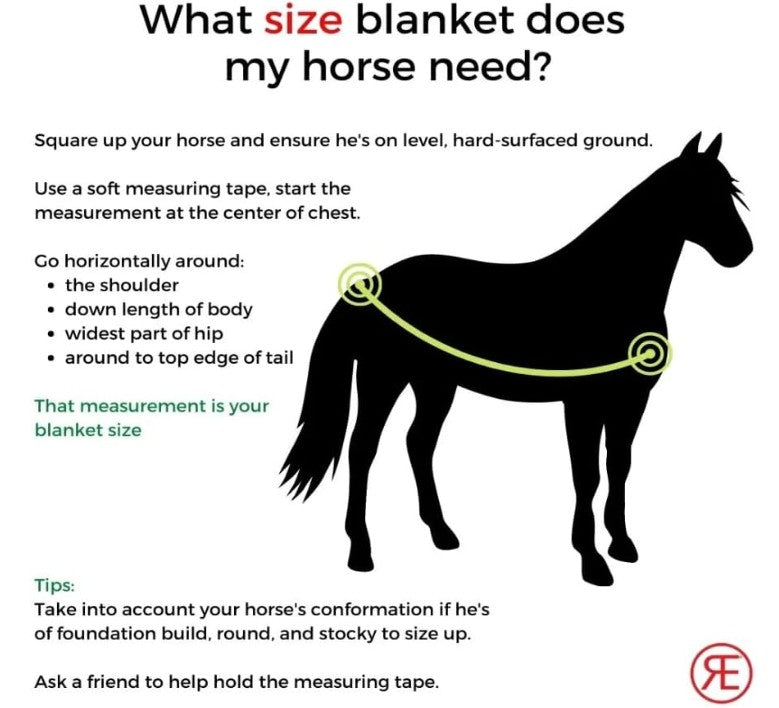 Blue and brown horse blanket on a white background