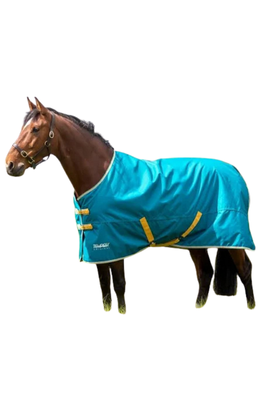 A horse wearing a teal-colored blanket with adjustable straps.