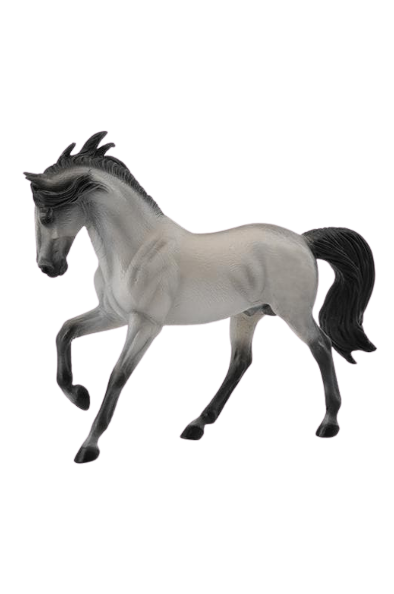 Andalusian Grey Stallion