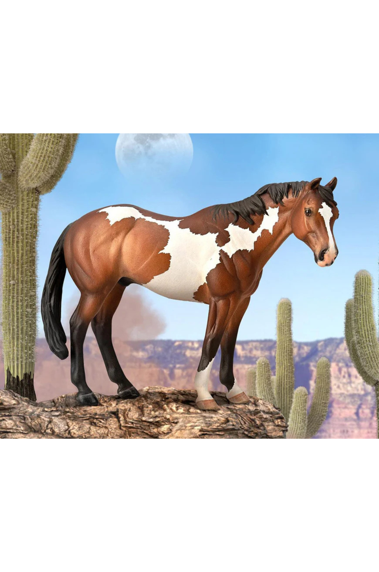 Appaloosa Stallion Bay Ovpaint