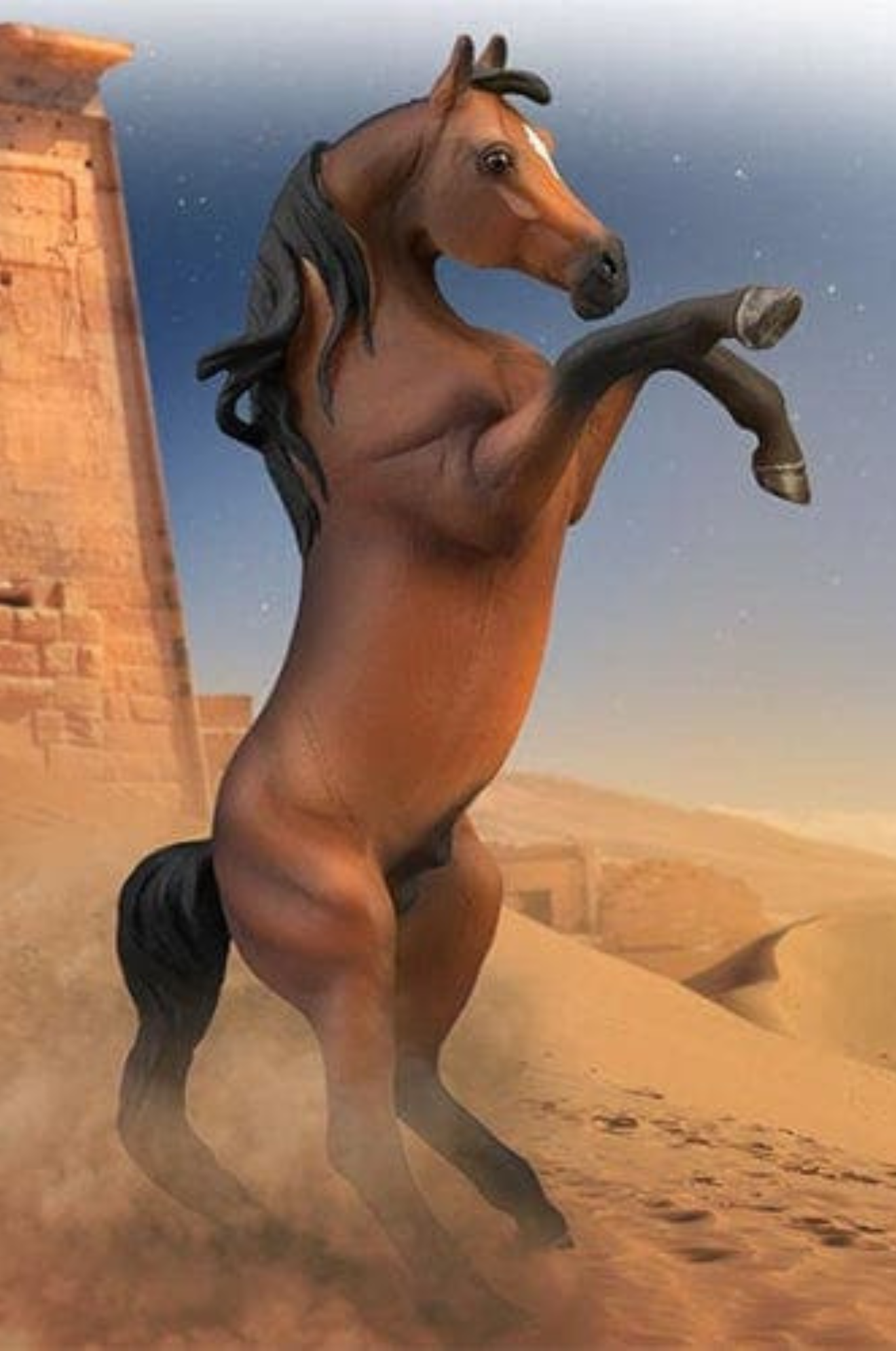 Arabian Rearing Stallion