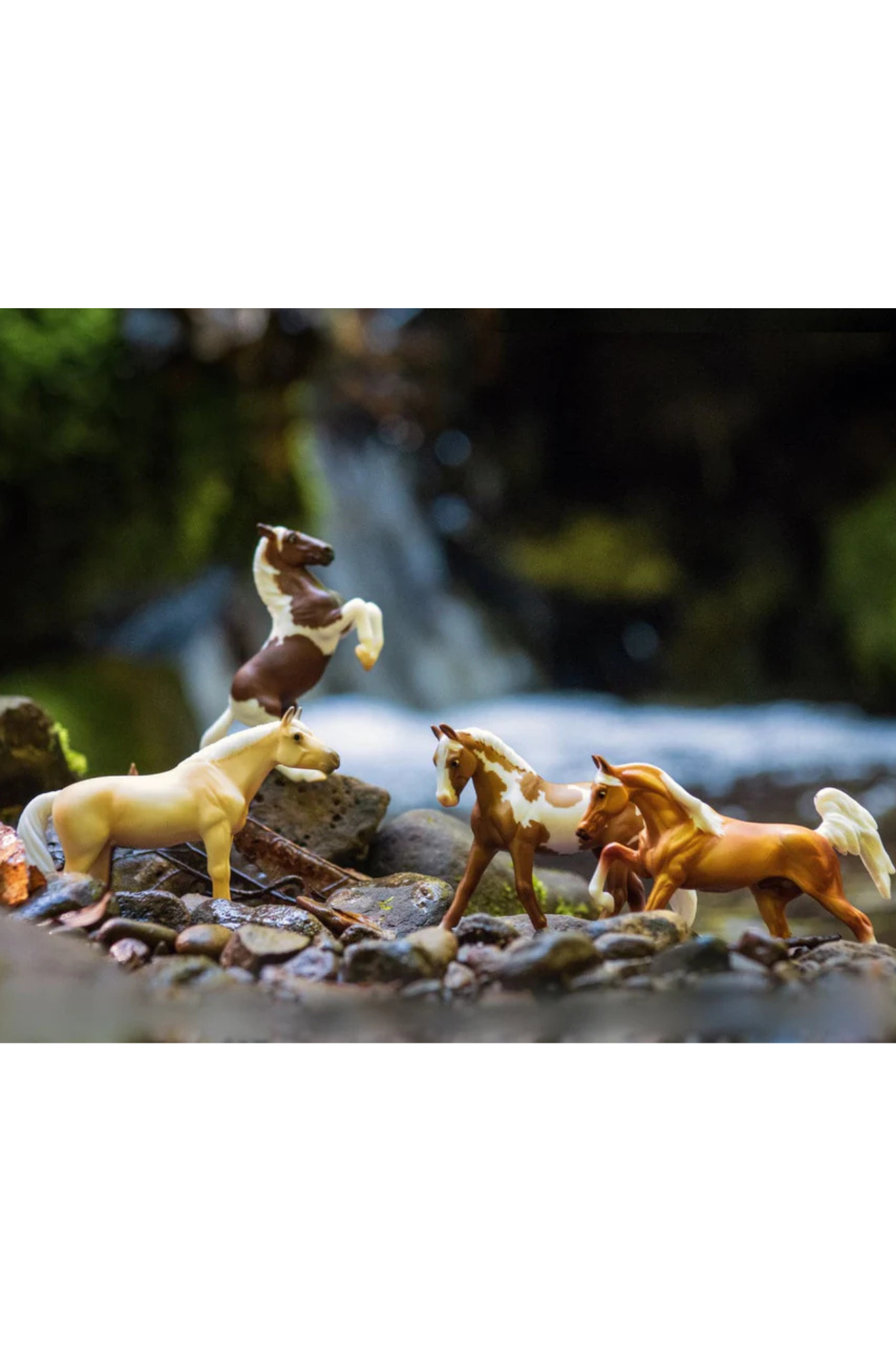 Pintos & Palominos Gift SetDISC