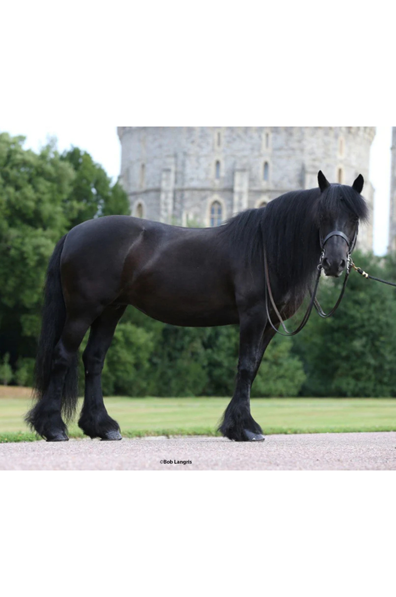 Carlton Emma With Sash