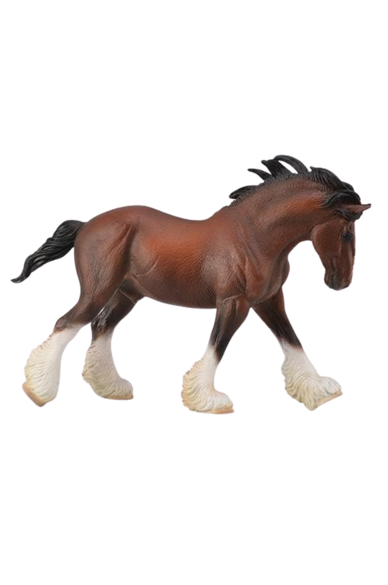 Clydesdale Stallion Bay