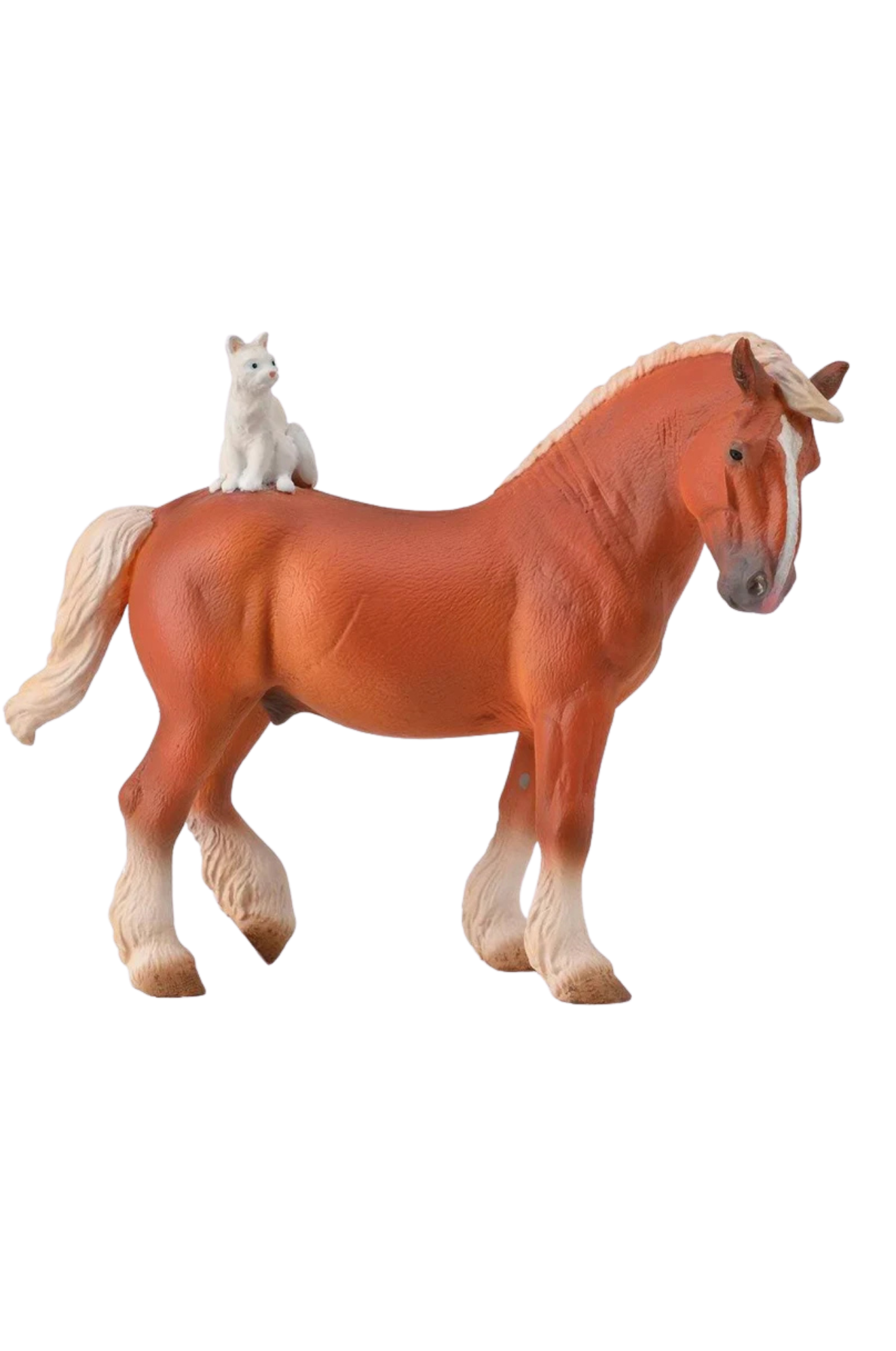 Draft Horse And Cat