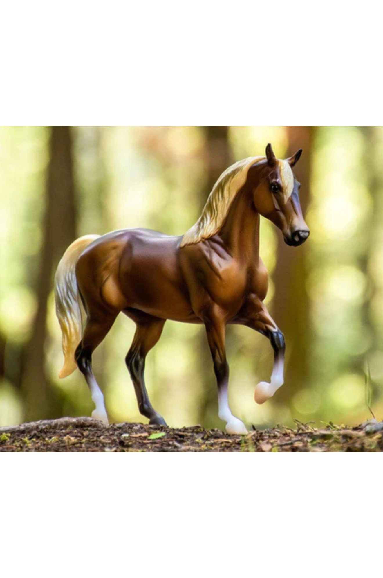 Silver Bay MorabDISC