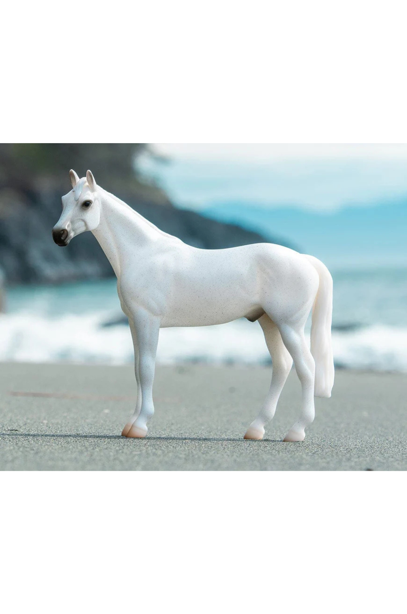 Fleabitten Gray Thoroughbred