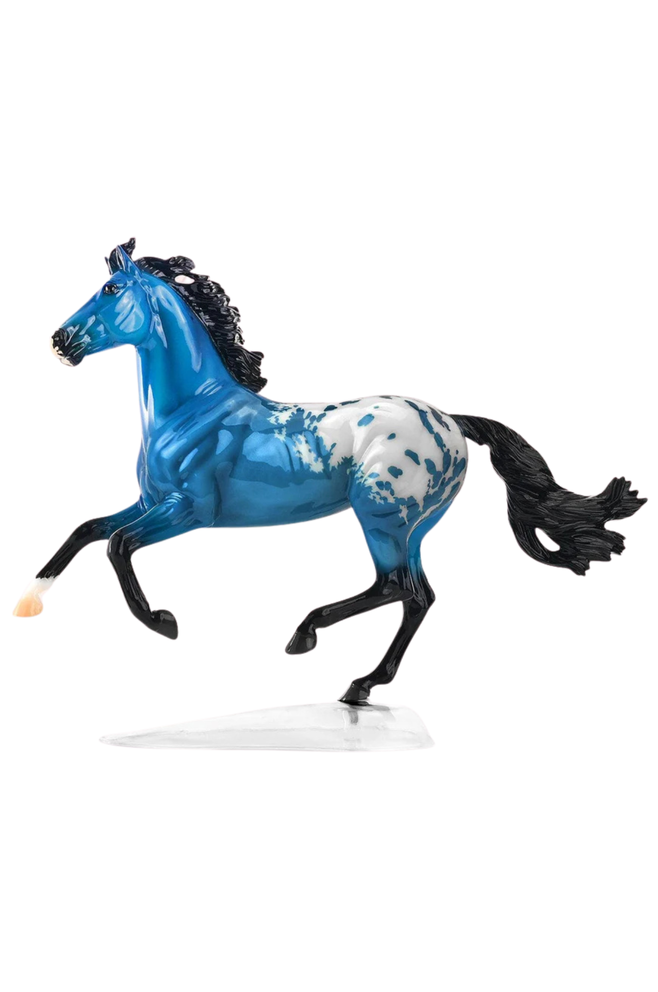 Washington-Spring Decorator disc