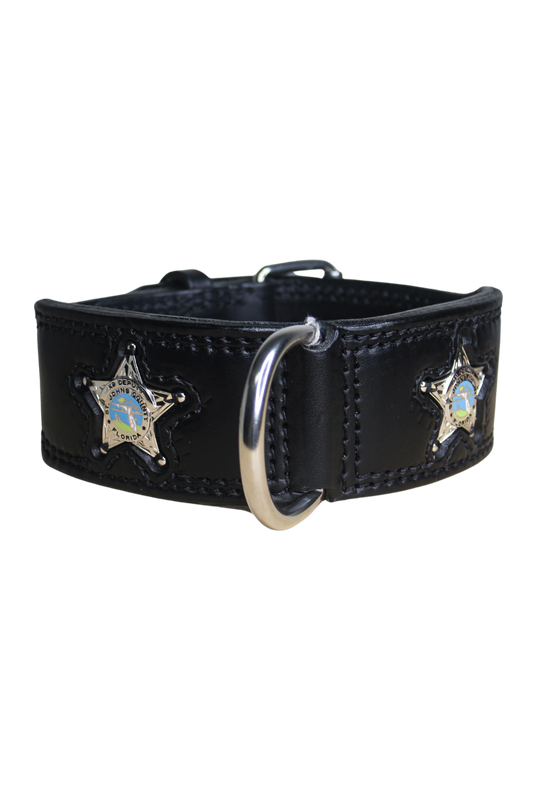 Black leather dog collar with metal buckle and decorative silver star accents.