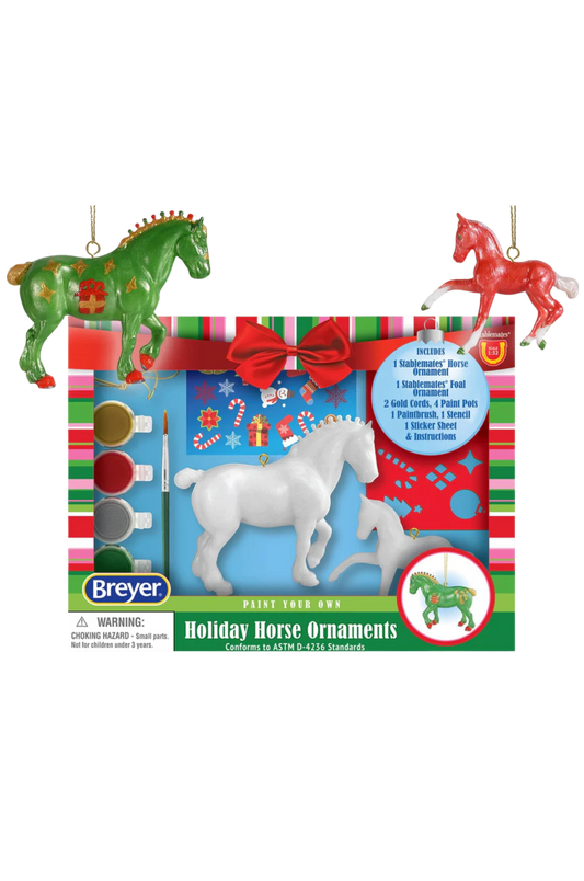 2024 Paint Your Own Ornament Craft Kit