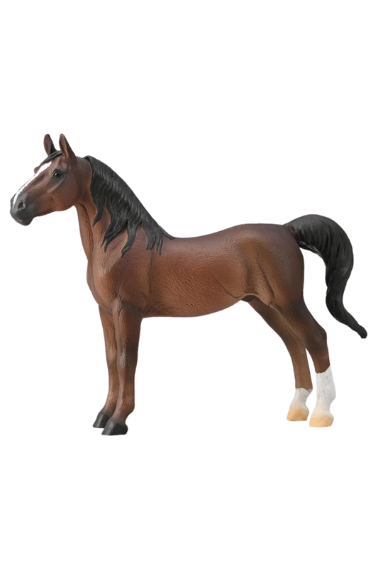 American Saddlebred Stallion