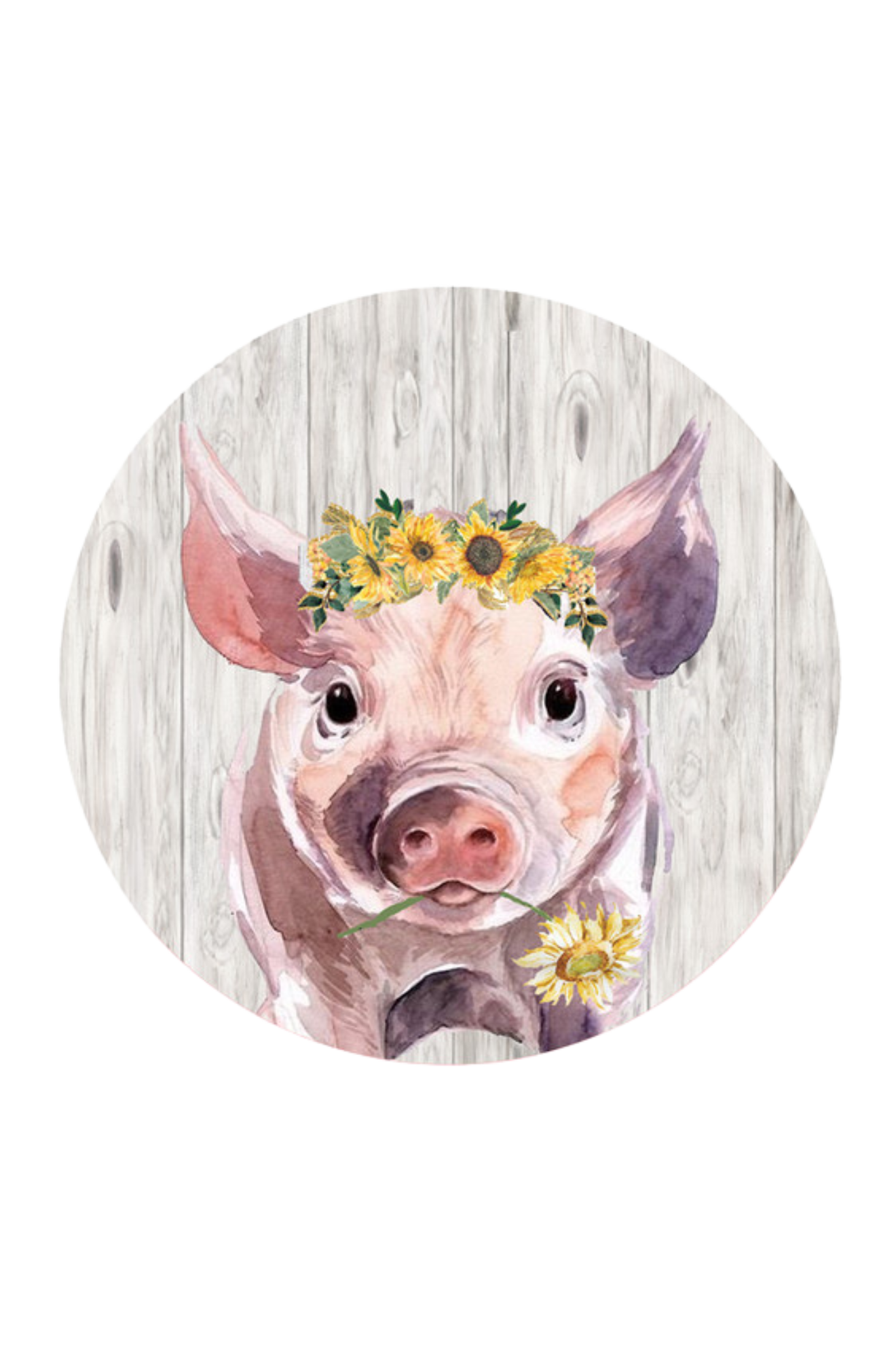 pig