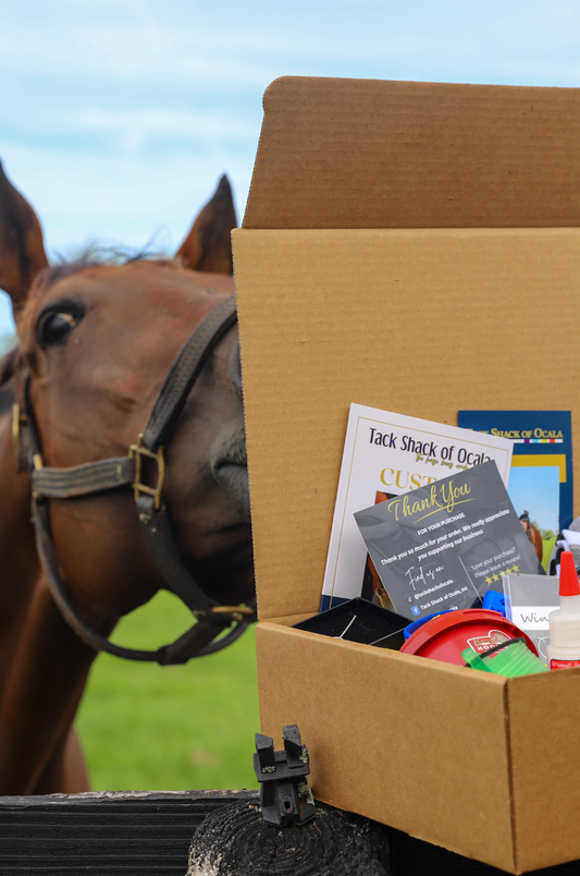Box of horse tack and supplies with a horse in the background