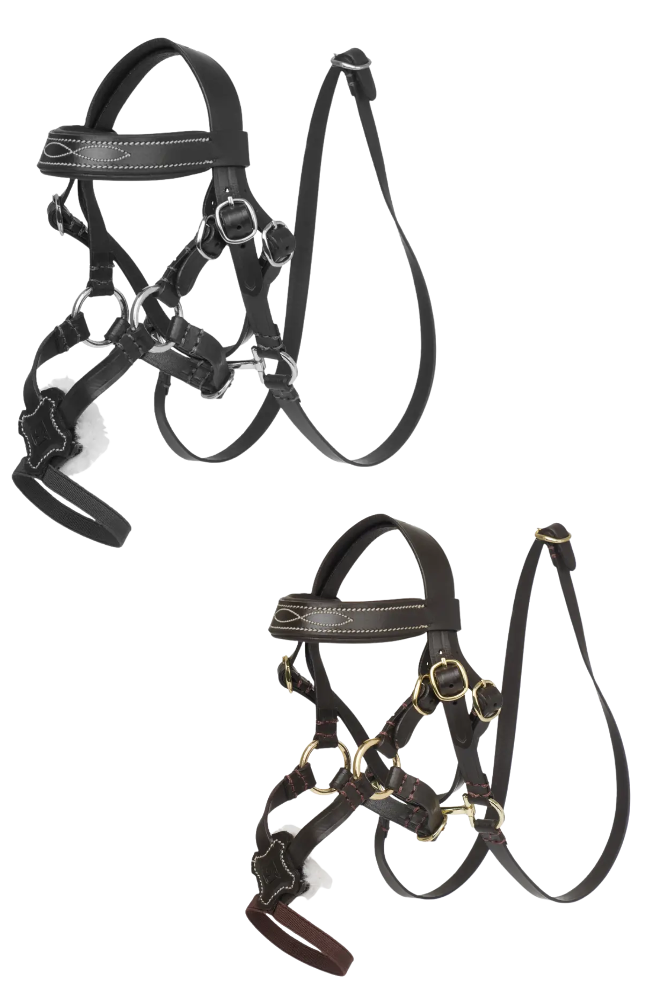 Two horse halters on a white background