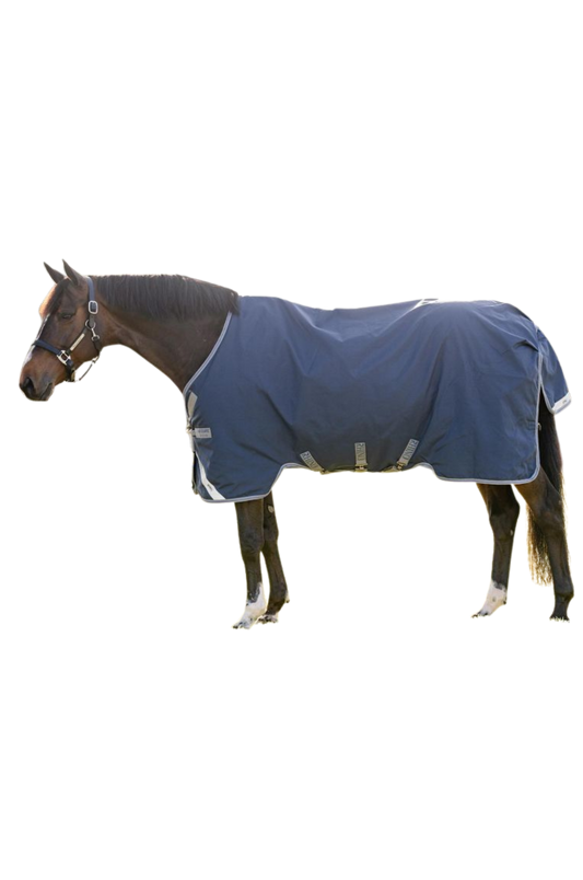 Horse wearing a blue blanket on a white background
