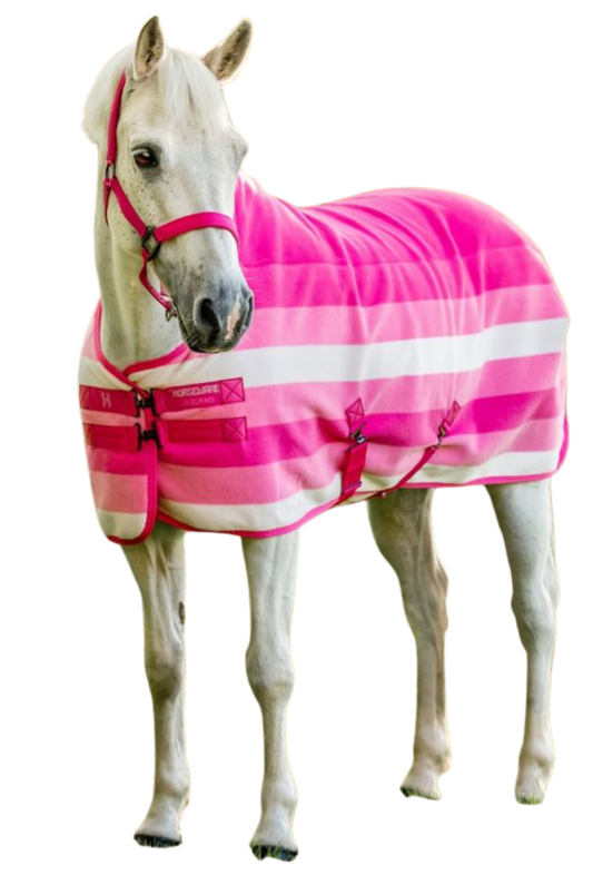 White horse wearing a pink and white striped rug on a white background