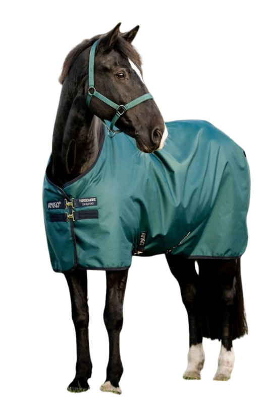 Horse wearing a teal blanket on a white background