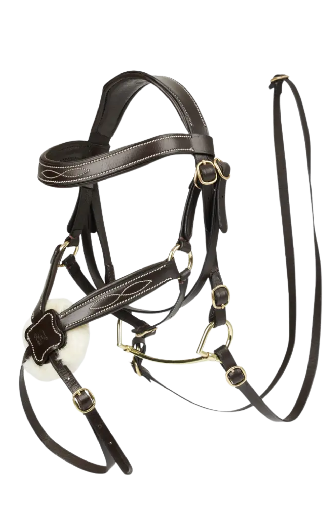 Brown leather horse bridle with gold hardware on a white background