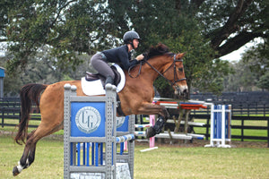 Riding Secure: A Guide to Saddle Safety